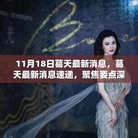 葛天最新消息聚焦,深度解析与速递