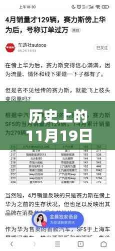 历史上的11月19日,绵竹陈满事件最新进展与深度解读