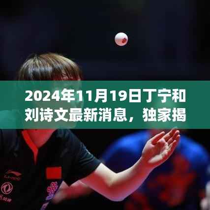 独家揭秘,丁宁与刘诗文最新动态,深度评测展现卓越风采(2024年最新消息)