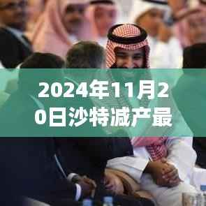 沙特减产最新动态,全球石油市场影响及应对策略(2024年11月20日)