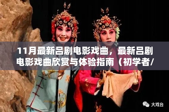 最新吕剧电影戏曲指南,欣赏、体验与学习,适合初学者与进阶用户