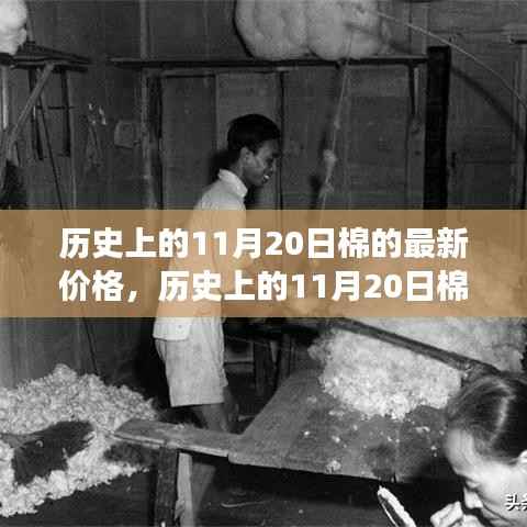 最新数据视角下的探讨,历史上11月20日棉花价格走势及其影响