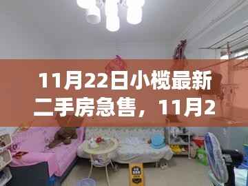 11月22日小榄最新二手房急售情况与多元市场观点探讨