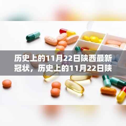 陕西历史上的新冠疫情,深度分析与个人观点回顾(11月22日篇)