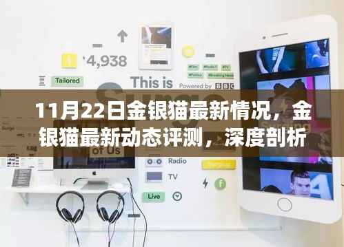11月22日金银猫最新情况,金银猫最新动态评测,深度剖析11月22日产品特性与使用体验