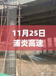 11月25日浦炎高速建设进展概览，最新动态报道