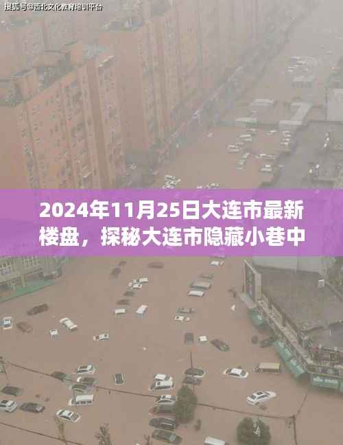 探秘大连市隐藏小巷的特色楼盘，时光雅居的非凡之旅（2024年11月25日大连市最新楼盘）