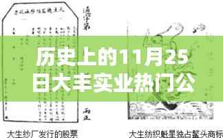 历史上的11月25日,大丰实业公告引领时代风潮,热门公告揭秘