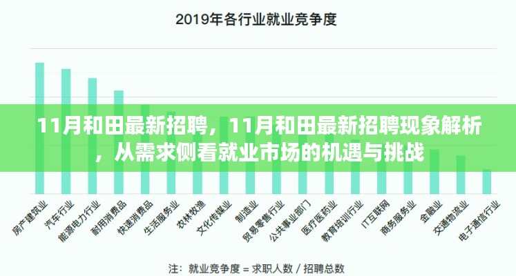 从需求侧探悉和田11月最新招聘现象,就业市场的机遇与挑战解析