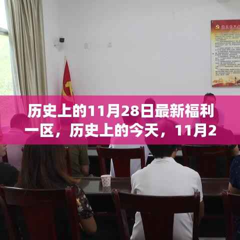 11月28日福利一区新篇章,学习改变命运,自信铸就辉煌历程