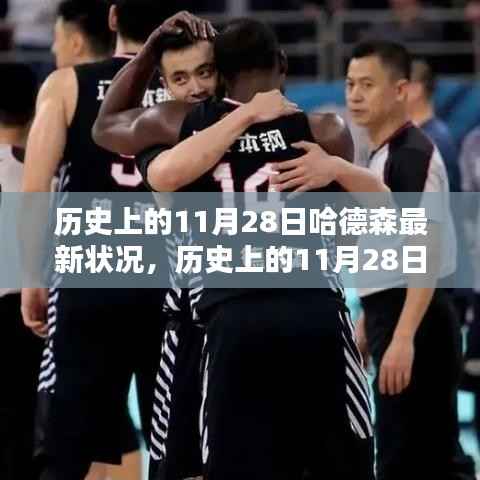 多维解析,哈德森在历史上的11月28日的发展现状与现状探讨