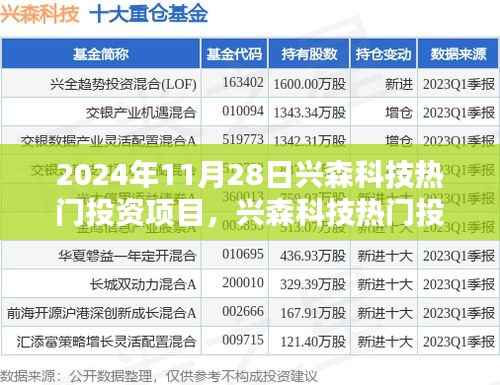 兴森科技热门投资项目深度解析,聚焦2024年11月28日的关注焦点