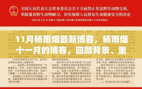 杨雨烟十一月的博客回顾,特定领域的地位与影响深度解析