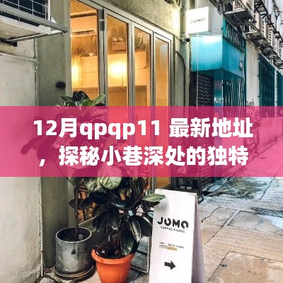 探秘小巷深处的独特风味,隐藏版特色小店qpqp11的最新发现与地址揭秘