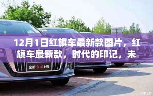 眉开眼笑 第11页