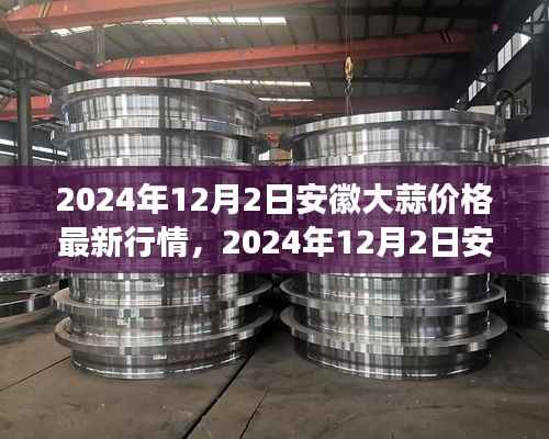 2024年12月安徽大蒜价格行情分析,市场走势、影响因素及未来预测