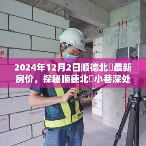 探秘顺德北滘小巷风情，最新房价与特色小店的奇遇之旅（2024年12月）