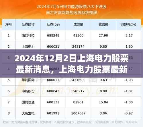 2024年12月2日上海电力股票最新动态及深度评测