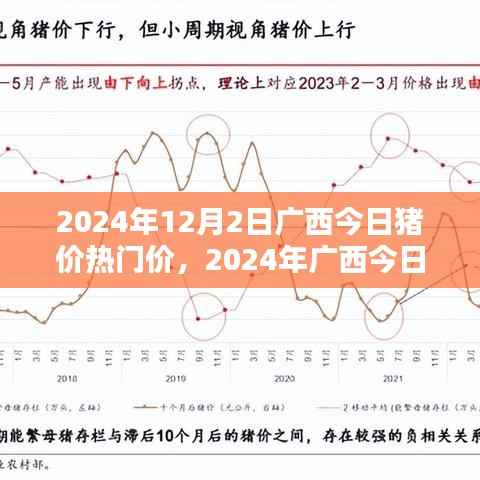 2024年广西今日猪价热门价解析指南,初学者与进阶用户适用
