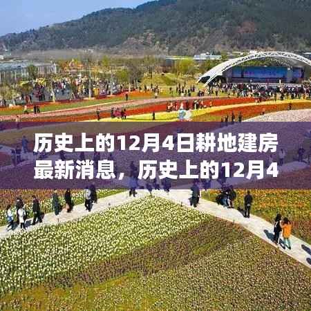 耕地建房新篇章,历史性的12月4日最新消息与成就感的提升