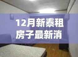 12月新泰租房最新消息,掌握最新房源,轻松找到理想住所