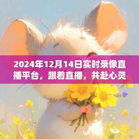 心灵之旅启程,2024年12月14日实时直播自然美景,探寻内心平和宁静