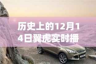 历史上的翼虎实时播报音量震荡事件回顾,12月14日回顾与展望