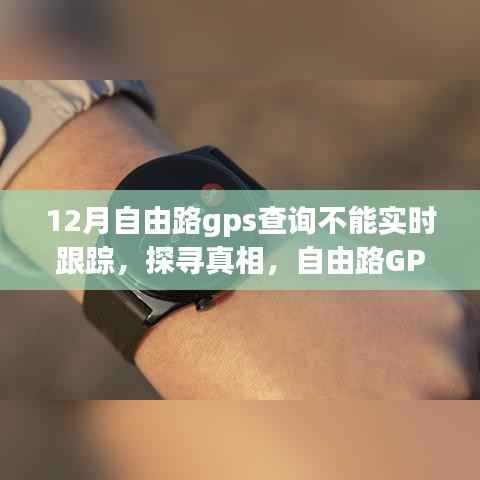 自由路GPS查询在12月的迷失与重启,实时跟踪功能失效探寻真相