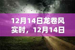 12月14日龙卷风实时报道，天灾之舞，时代的记忆标签