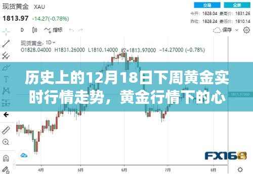 黄金行情下的心灵之旅,揭秘历史黄金行情走势与探索之旅的启示