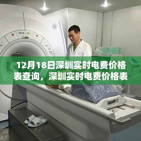 深圳实时电费价格表深度解析与观点阐述,最新查询指南(12月18日)