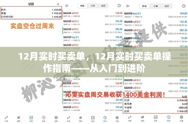 12月实时买卖单操作指南,从入门到进阶