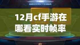 独家攻略,揭秘十二月CF手游实时帧率查看秘籍,助你轻松掌握游戏制胜先机!