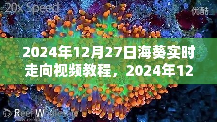 掌握海洋动态,海葵实时走向视频教程,2024年12月27日最新更新