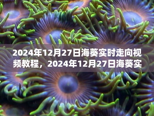 掌握海洋动态,海葵实时走向视频教程,2024年12月27日最新更新