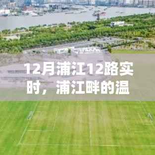 浦江畔的温馨日常,12月浦江12路的陪伴与欢笑