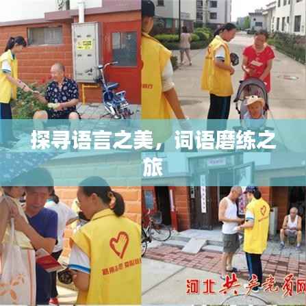 探寻语言之美,词语磨练之旅