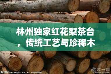 标新创异 第3页