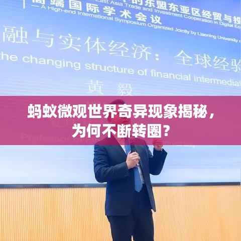 蚂蚁微观世界奇异现象揭秘,为何不断转圈?