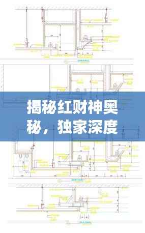 揭秘红财神奥秘，独家深度解读资料