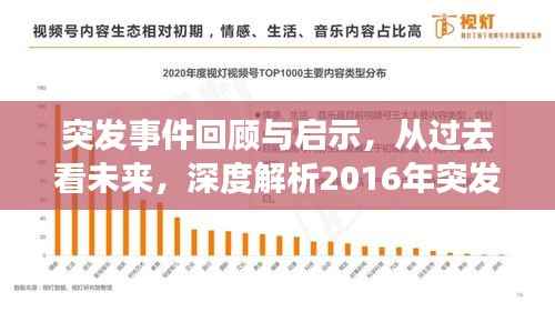 突发事件回顾与启示,从过去看未来,深度解析2016年突发事件