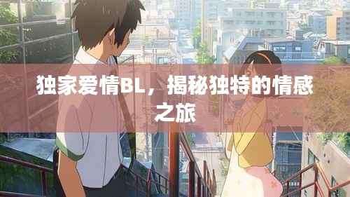 独家爱情BL,揭秘独特的情感之旅