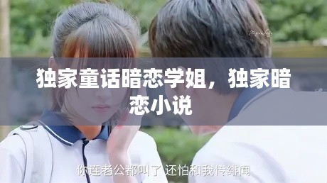 独家童话暗恋学姐,独家暗恋小说