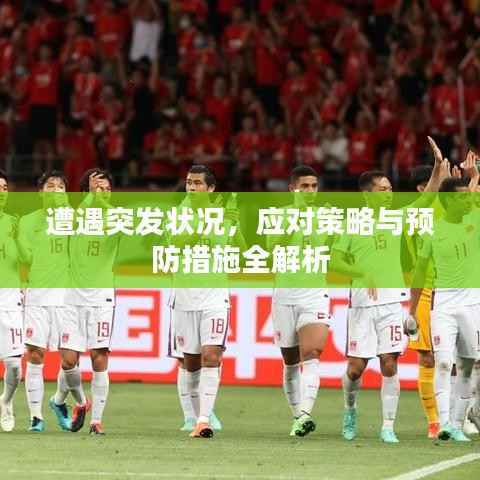 遭遇突发状况,应对策略与预防措施全解析