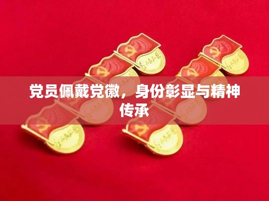 党员佩戴党徽,身份彰显与精神传承