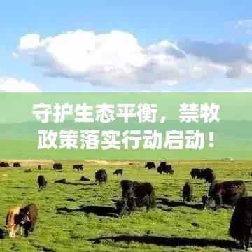 守护生态平衡，禁牧政策落实行动启动！