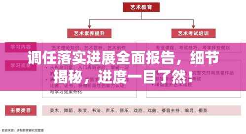 调任落实进展全面报告,细节揭秘,进度一目了然!