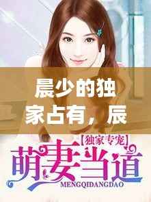 晨少的独家占有,辰少的独家占有 免费