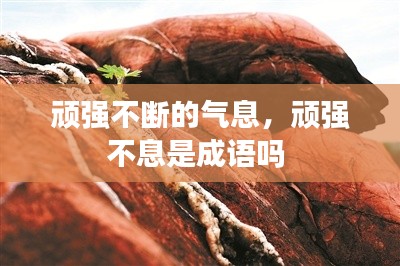 shoudangqichong 第3页