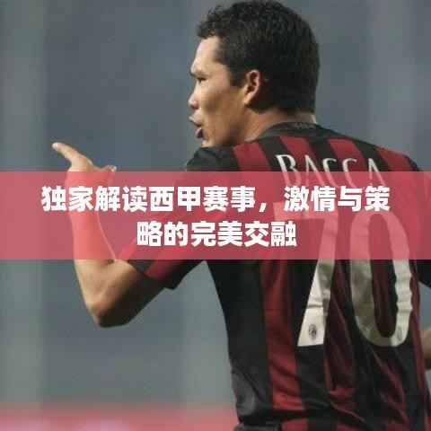 秀外慧中 第4页